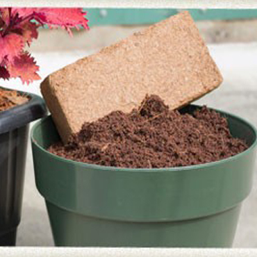 coirpith Exporters In chennai