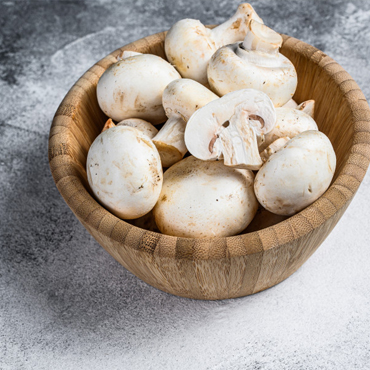 mushroom Exporters In chennai