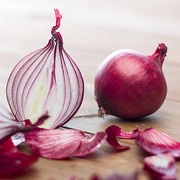 onion Exporters In chennai
