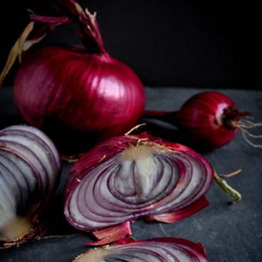 onion Exporters In chennai